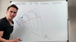 Heart Conduction amp ECG EKG Interpretation [upl. by Bronwen]