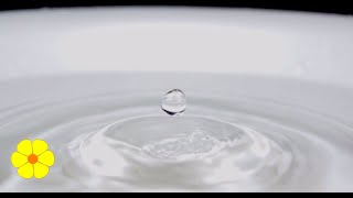 Single Drop of Water Falls in a Bucket  Water Drops  Water Dripping Slowly in a Tub  Relax Sounds [upl. by Shewchuk231]