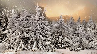 Schneesturm Geräusche in der Natur zum Einschlafen 4 Stunden Windgeräusche [upl. by Brianne137]