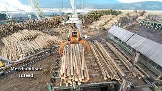 Logs to Lumber  An aerial journey through the sawmill [upl. by Car]