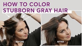 How to Color Stubborn Gray Hair [upl. by Willa]