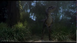 Jurassic Park 3 Raptor Captions [upl. by Lander]