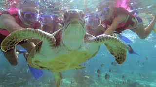 Tour Snorkel  Xcaret México Cancún Eco Park [upl. by Sherrod]