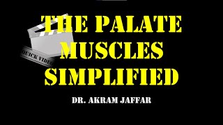 Palatine muscles simplified diagram [upl. by Donough979]