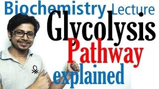 Glycolysis biochemistry [upl. by Assirrak778]