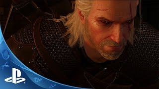 Witcher 3 Collect em all Guide [upl. by Shrier]