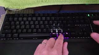 Blackweb Mechanical Gaming Keyboard [upl. by Notterb]