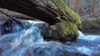 Lykens Loop Trail [upl. by Rubin]