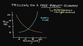 Pricing in a FreeMarket Economy [upl. by Nessa]