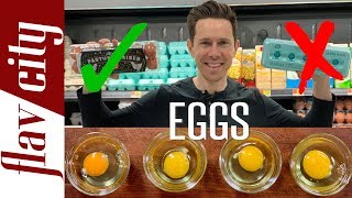 Everything You Need To Know About Eggs  Cage Free Free Range Pasture Raised and More [upl. by Maice]