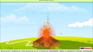 Combustion and Flame  Combustion  Class 8 [upl. by Gayn]