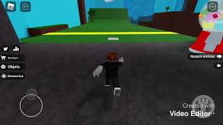 World Record ROBLOX Speed Run 4  All Levels No Skips in 102493 [upl. by Eiramoj]