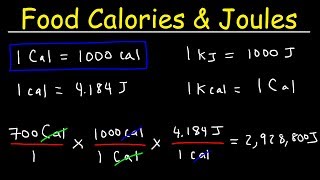 Joules Food Calories amp Kilojoules  Unit Conversion With Heat Energy  Physics Problems [upl. by Rowen]