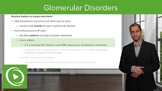 Glomerular Disorders – NephrologyFoundations  Lecturio [upl. by Galer]