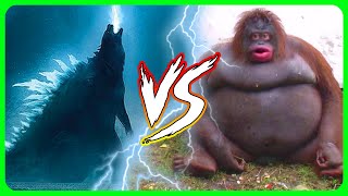 Godzilla vs Kong explained by an idiot [upl. by Haduj]