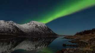 Northern Lights in Lofoten  Aurora Borealis in the Lofoten Islands Norway [upl. by Enayr159]