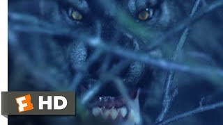 Van Helsing 2004  Werewolf on the Loose Scene 110  Movieclips [upl. by Nylarak556]