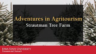 Strautman Tree Farm [upl. by Gaddi]