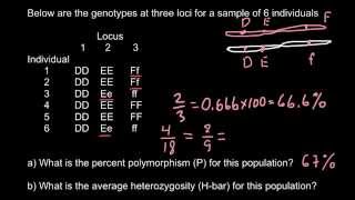 How to calculate perсentage of polymorphism and heterozygosity [upl. by Adnamma450]