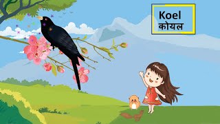 Hindi poem Class 4 Koel [upl. by Hannaoj]