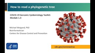 Module 13  How to read a phylogenetic tree [upl. by Noreg38]