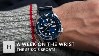 Review The 2019 Seiko 5 Sports SRPD Series [upl. by Runkel]