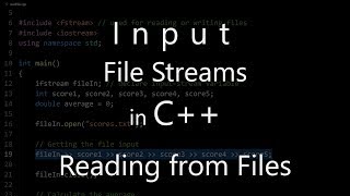 Input File Streams in C Reading from Files [upl. by Ellevehc]