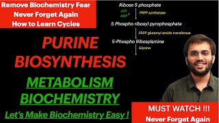 Purine Synthesis  Biochemistry  Purine Metabolism Video [upl. by Elspet875]