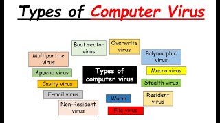 Types of virus [upl. by Ardnuassak193]