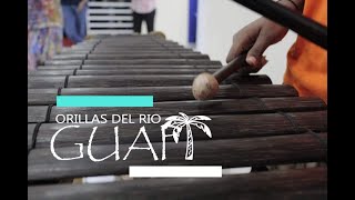 Juga Musica Del Pacifico Instrumental Marimba [upl. by Elmira197]