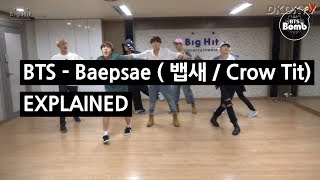 BTS  BAEPSAE 뱁새  Crow Tit Explained by a Korean [upl. by Eneles]