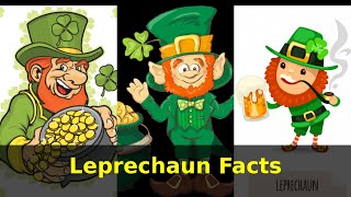 Leprechaun Facts [upl. by Noirad413]