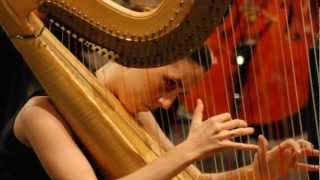 Wolfgang Amadeus Mozart  Concerto for Flute and Harp in C major K 299 II Andantino [upl. by Ebert523]