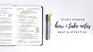 selfstudy korean how i take notes [upl. by Aisayn]