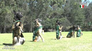 Cápsula No 4 quotLa Gran Fuerza de Méxicoquot LA POLICIA MILITAR [upl. by Valida]