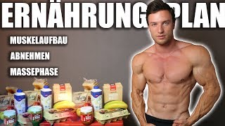 ERNÄHRUNG  So erreichst du deinen Traumkörper   Ernährungsplan und Supplements [upl. by Illom]