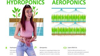 Aeroponics vs Hydroponics  Which is Better [upl. by Anytsirhc]