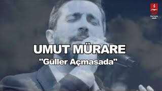 UMUT MÜRARE quotGÜLLER AÇMASA DAquot [upl. by Dame]