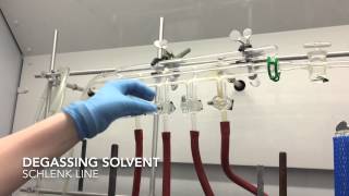 Degassing solvent on the Schlenk line [upl. by Getraer]