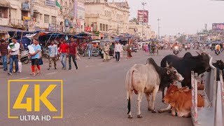 Everyday Life of Puri  4K Travel Film  Incredible India  Cities of the World [upl. by Arhat]