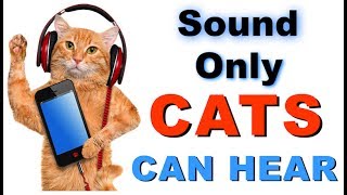 Sound Cats Can Only Hear  HQ [upl. by Lesig]