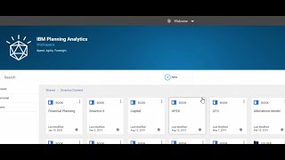 IBM Cognos Planning Analytics Demo [upl. by Ydnolem630]