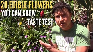 20 Edible Flowers You Can Grow amp Eat Taste Test [upl. by Nylesor471]