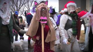 The Mummers Parade  St Johns Newfoundland and Labrador [upl. by Oznerol601]