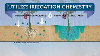 Surfactant 101 from Plant Health Technologies [upl. by Eentroc]