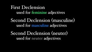 First and Second Declension Adjectives [upl. by Schmitt]