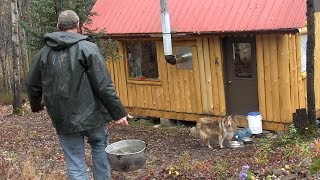 Life in an Off Grid Cabin [upl. by Moriah]