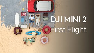 DJI Mini 2  How to FLY DJI Mini 2 [upl. by Callery]