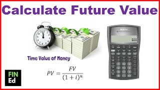 How to calculate future value on ba ii plus  FINED [upl. by Sholes802]