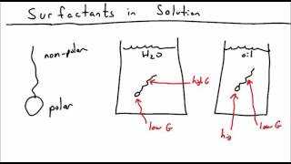 Introduction to Surfactants [upl. by Furlong]